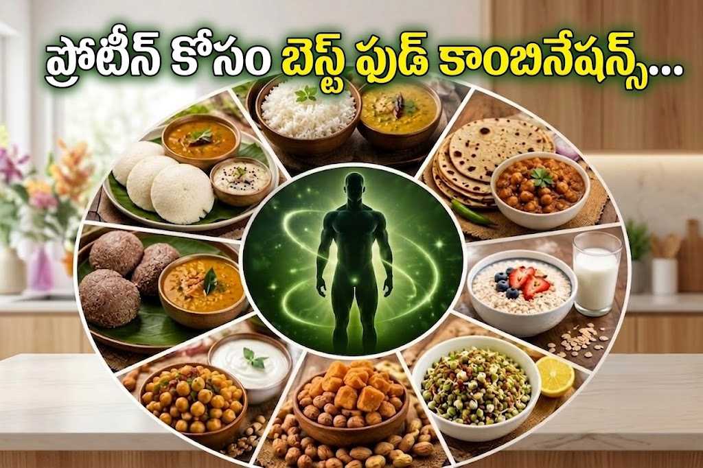 ప్రోటీన్ కోసం ఈ ఫుడ్ కాంబినేషన్లే బెస్ట్.. These Food Combinations Are The Best For Protein
