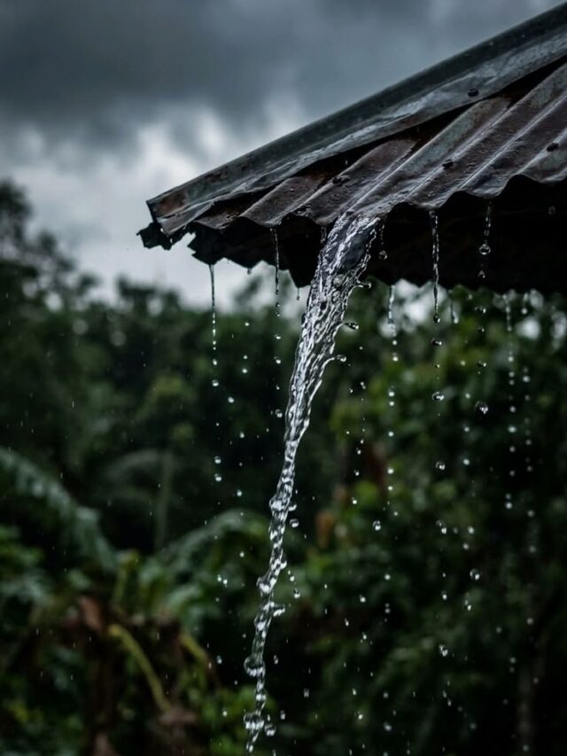 Today Weather Update – రాబోయే కొన్ని గంటల్లో మారనున్న వాతావరణం!