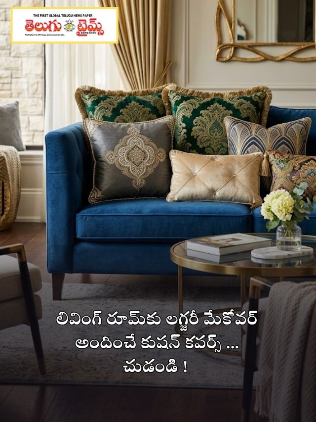 లివింగ్ రూమ్‌కు లగ్జరీ మేకోవర్ అందించే కుషన్ కవర్స్ … చుడండి !