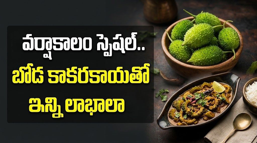 వర్షాకాలం స్పెషల్.. బోడ కాకరకాయతో ఇన్ని లాభాలా! Monsoon Special So Many Benefits From Boda Kakarakaya