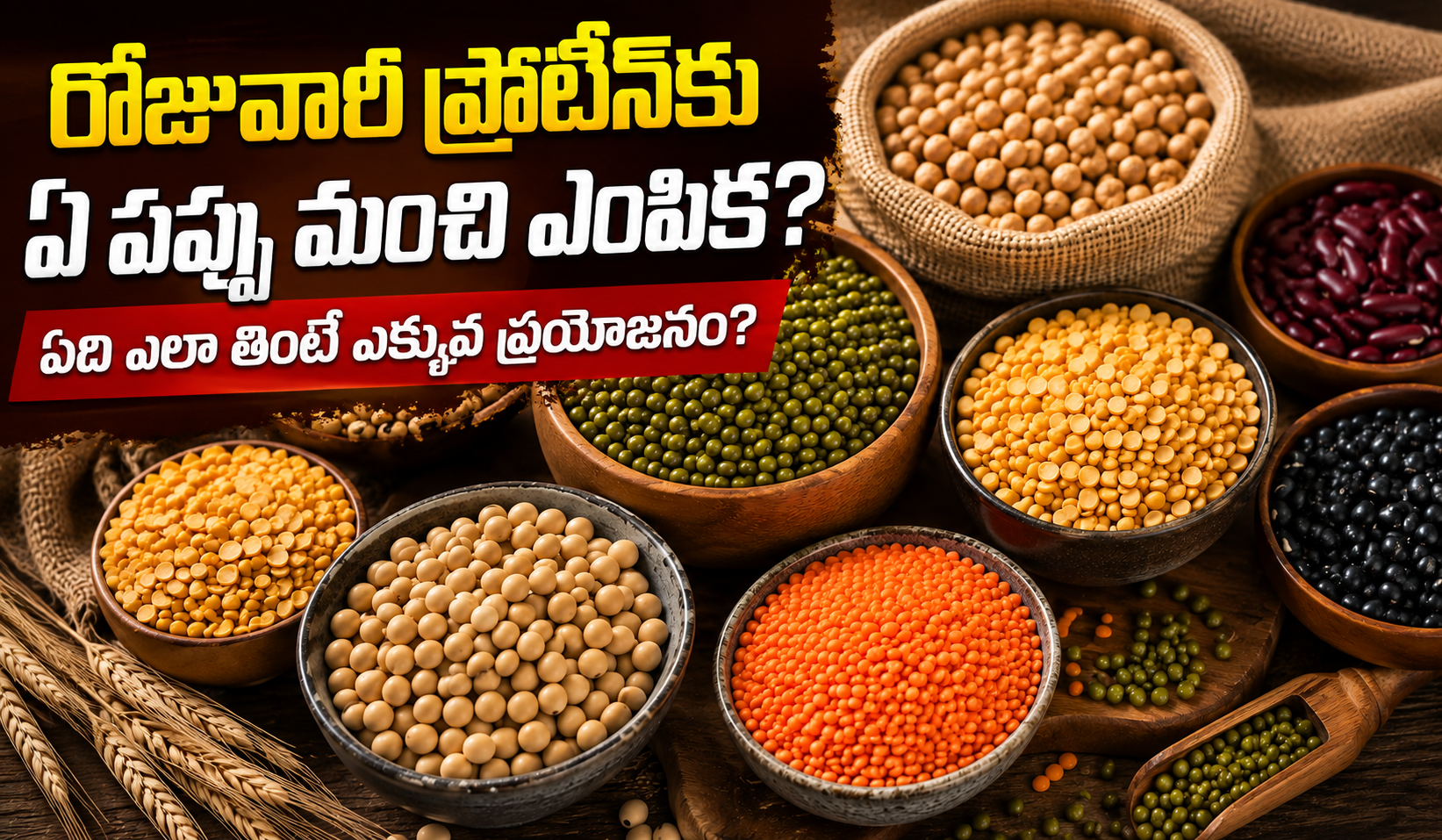 రోజువారీ ప్రోటీన్కు ఏ పప్పు మంచి ఎంపిక? ఏది ఎలా తింటే ఎక్కువ ప్రయోజనం? Which Lentil Is A Good Choice For Daily Protein Intake How Should It Be Consumed To Derive The Most Benefit