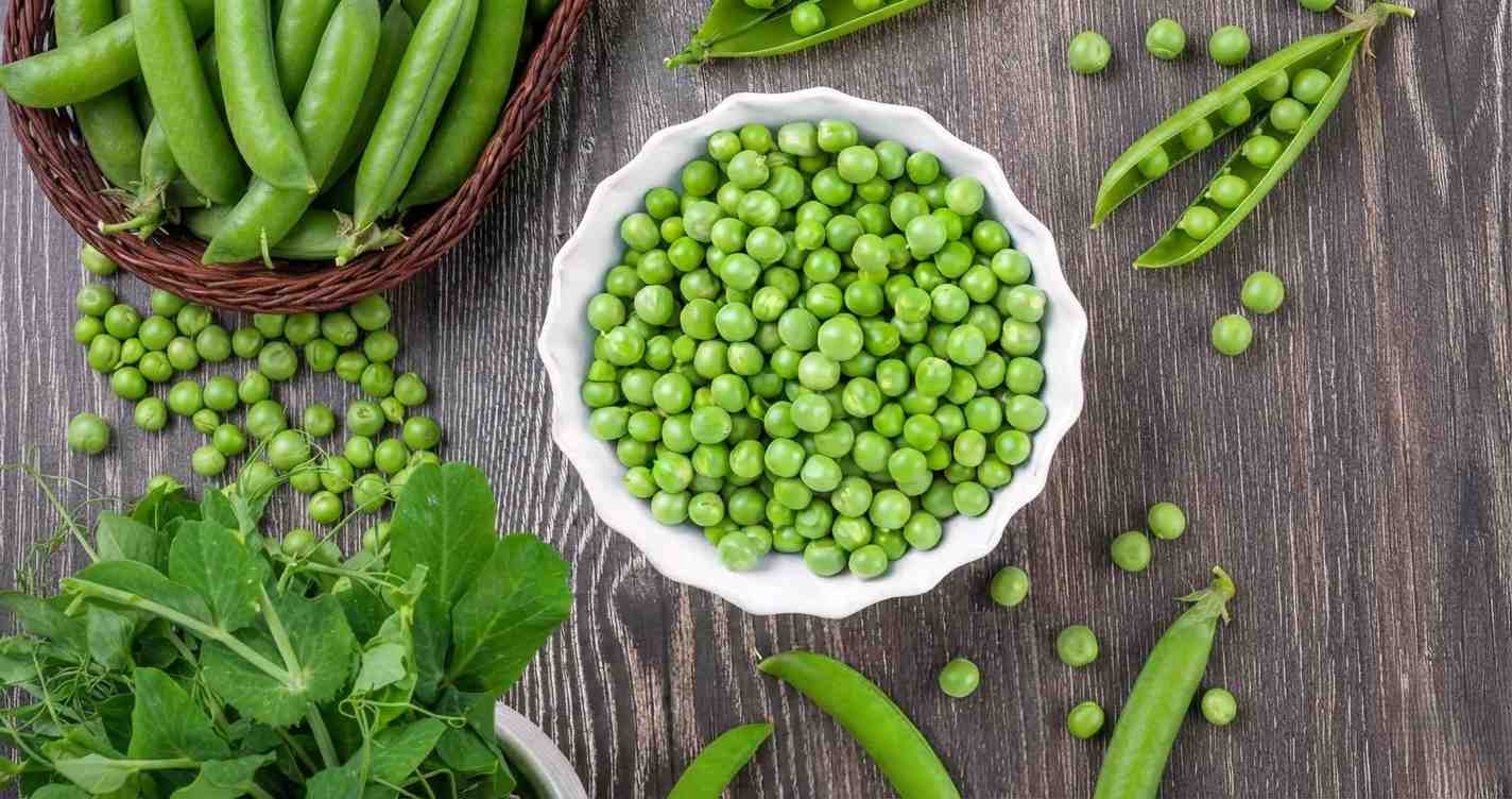 Edamame