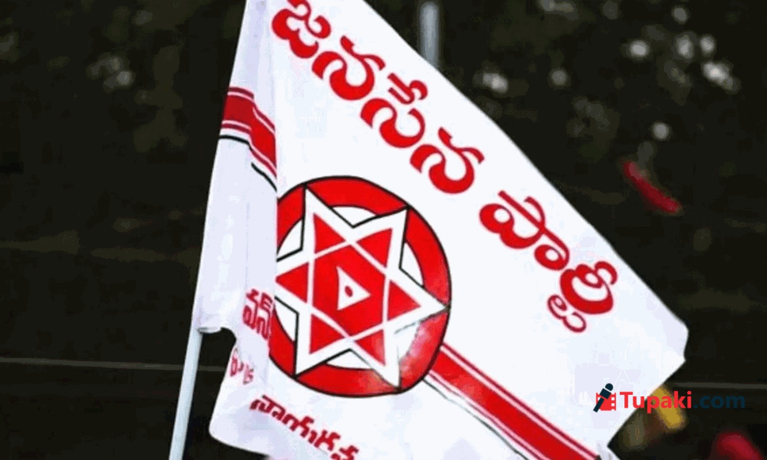Enthusiasm Among Women In Janasena Significant Prominence In Key Positions