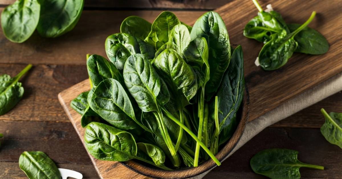 Nerve strength from spinach 