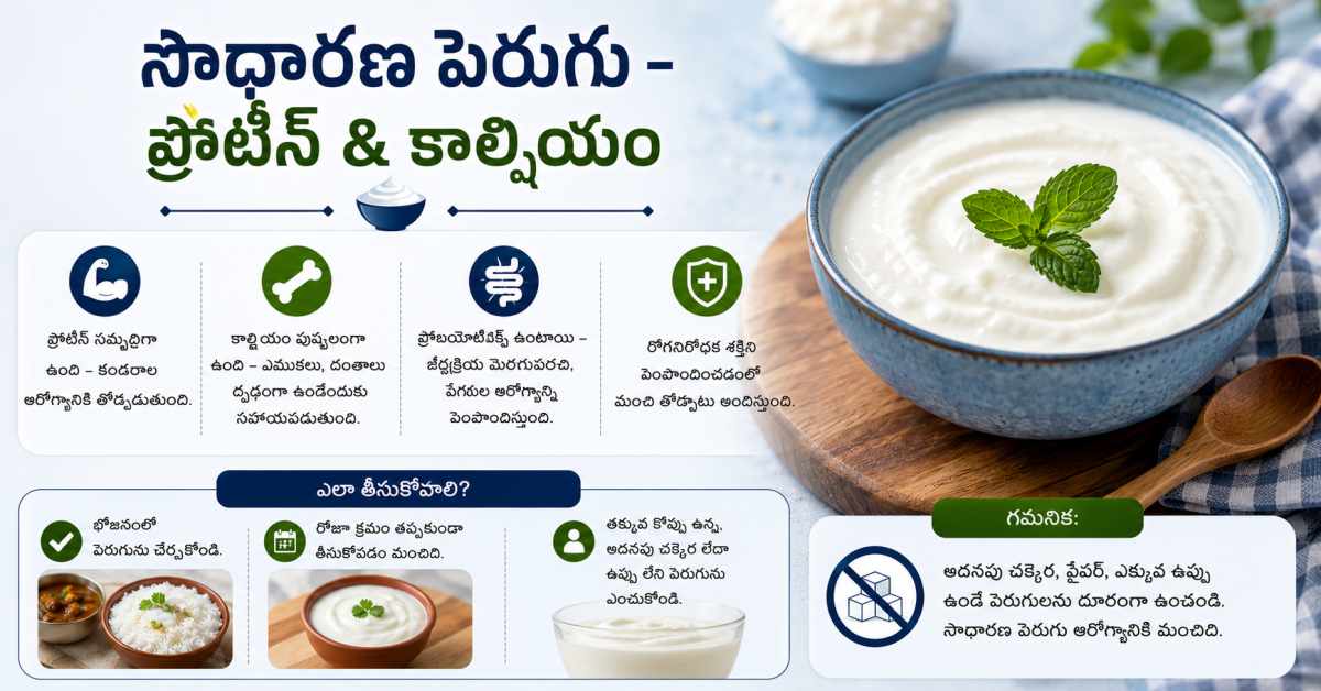 Plain Yogurt – Protein & Calcium