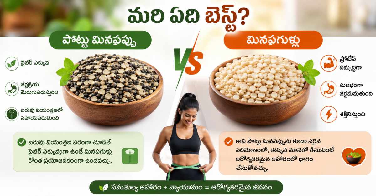 So, which one is the best
