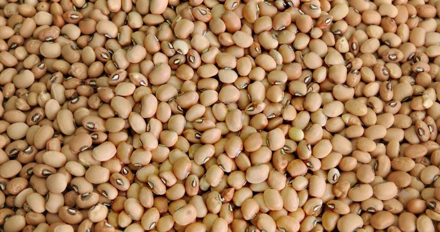 Soybeans