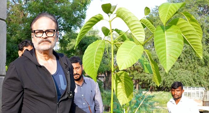 కోకాపేటలో మెగాస్టార్ చిరంజీవి పుట్టినరోజు సందర్భంగా మొక్కలు నాటిన ఏపీ గ్రీన్ ఛైర్మన్ & ఎమ్మెల్సీ కొణిదల నాగేంద్రబాబు Ap Green Chairman Mlc Nagababu Planted Saplings In Kokapet To Celebrate Chiranjeevi Birthday