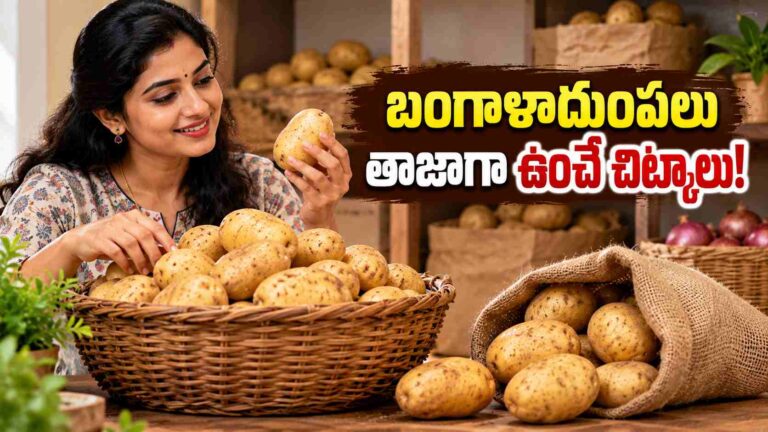 బంగాళాదుంపలు నెలల పాటు పాడవకుండా ఉండాలంటే.. ఈ ట్రిక్స్ పాటించండి!