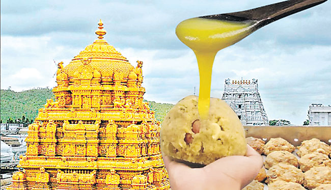 తిరుమల లడ్డూ, కల్తీ నెయ్యి కేసు లో కీలక పరిణామం Key Development In Tirumala Laddu Adulterated Ghee Case