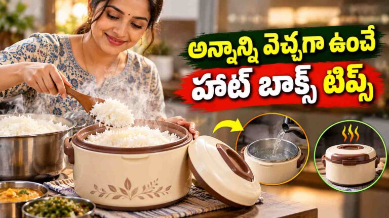 లంచ్ టైమ్‌కీ వేడివేడి అన్నం కావాలా.. ఈ హాట్ బాక్స్ టిప్స్ ట్రై చేయండి!