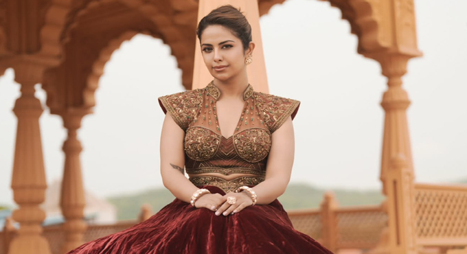 Avika Gor With Royal Look