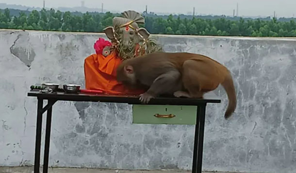 సిద్దిపేట జిల్లాలో ఆసక్తికర ఘటన