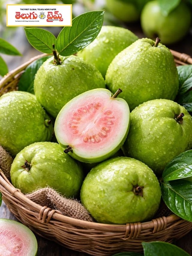 రోజూ ఒక జామపండు.. మీ శరీరంలో ఇన్ని మార్పులా?