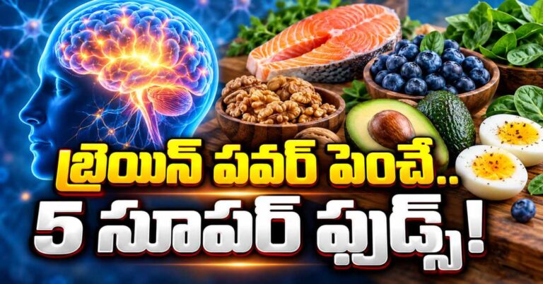 మెదడు చురుగ్గా పనిచేయాలంటే.. రోజూ తినాల్సిన 5 ఆహారాలు ఇవే!
