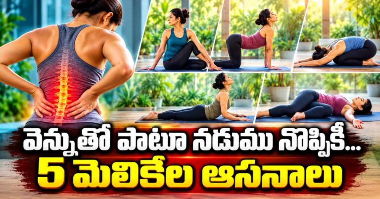 వెన్నునొప్పి, నడుము బిగుతుకు చెక్.. ఈ 5 యోగాసనాలు ట్రై చేయండి!