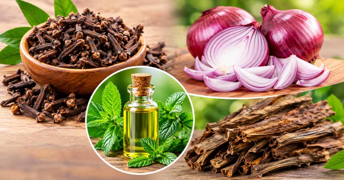 Cloves, onion pieces, peppermint oil, tobacco stems