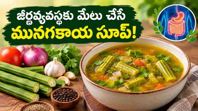 జీర్ణవ్యవస్థకు మేలు చేసే మునగకాయ సూప్.. ఇందులో పోషకాలు, తయారీ విధానం ఇదే!