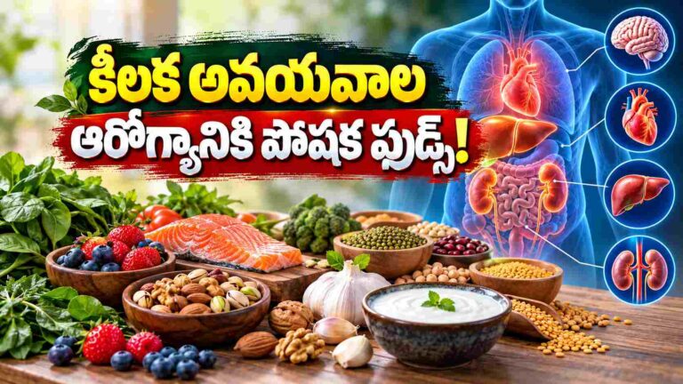 ఒక్కో ఫుడ్‌లో ఒక్కో పోషక పవర్.. కీలక అవయవాల ఆరోగ్యానికి ఇవి బెస్ట్!