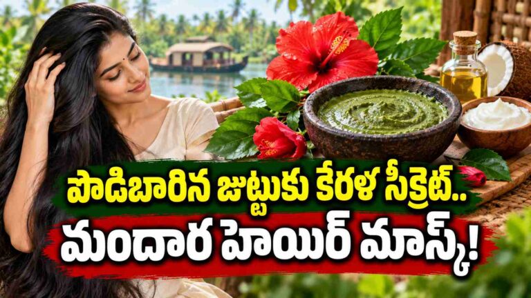 పొడిబారిన జుట్టుకు కేరళ సీక్రెట్.. ఇంట్లోనే మందార హెయిర్ మాస్క్!