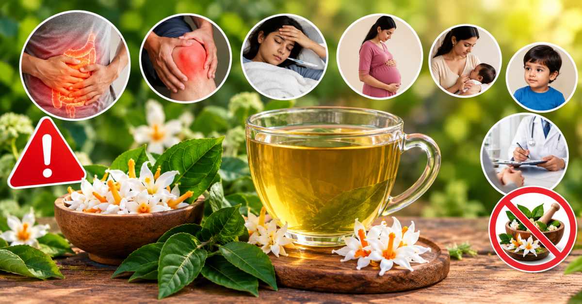 Precautions to take before consuming a decoction of Parijata leaves 