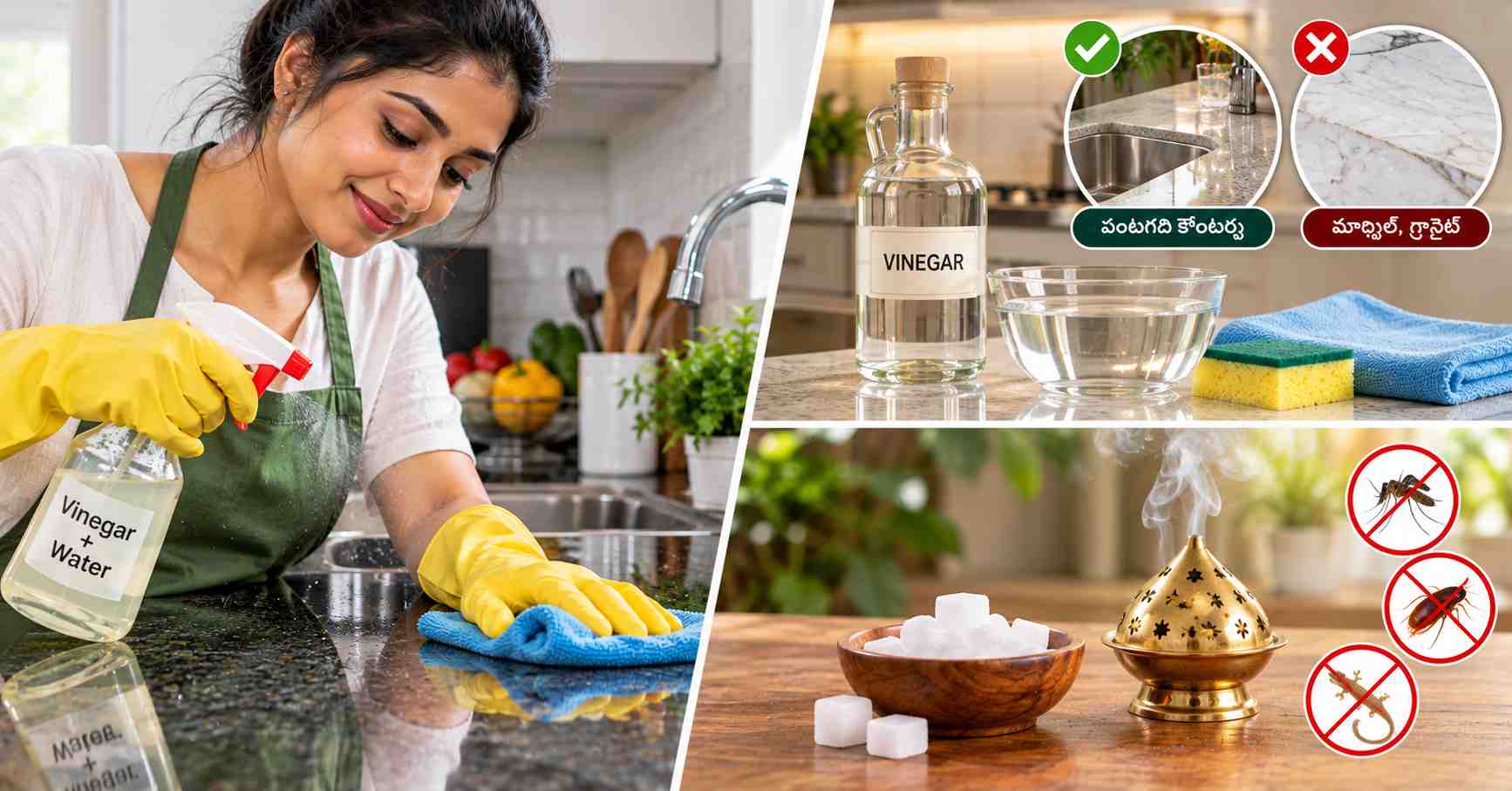 Vinegar Cleaning & Camphor Safety
