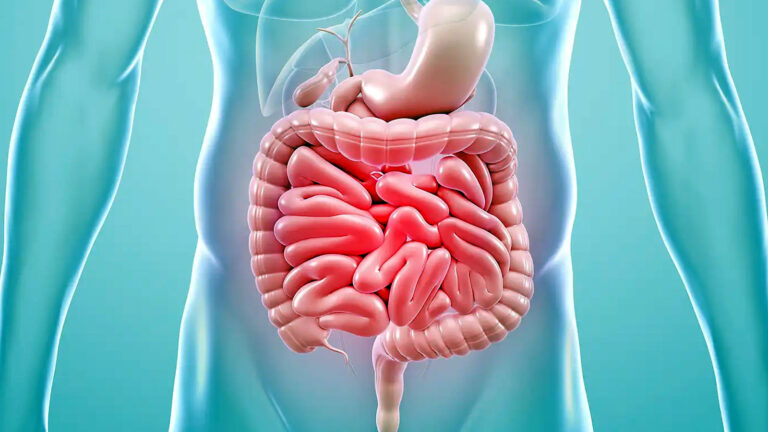 Gut-Brain Axis: గట్ హెల్త్‌తో మానసిక ఆరోగ్యానికి లింక్.. పేగుల ఆరోగ్యం ఎందుకు ముఖ్యమో తెలుసా..