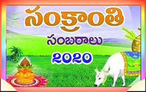 సంక్రాంతి సంబరాలు 2020
