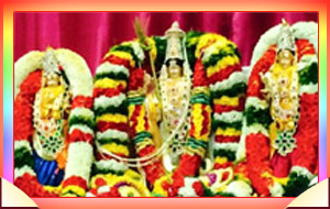 అమెరికాలో శ్రీనివాస కల్యాణాలు (July 2015)