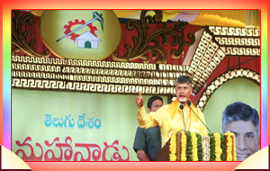 టీడీపీ మహానాడు 2017