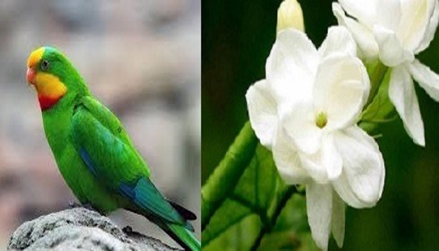 రాష్ట్ర చిహ్నాలను ప్రకటించిన ఏపీ ప్రభుత్వం