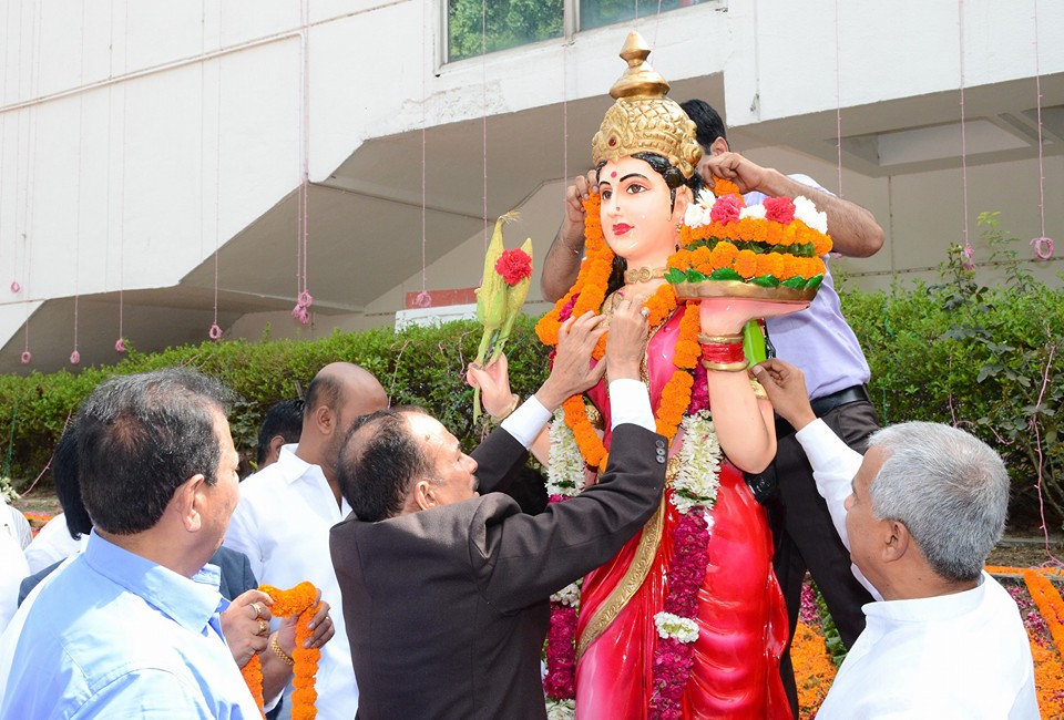 ఢిల్లీలో ఘనంగా రాష్ట్ర ఆవిర్భావ వేడుకలు