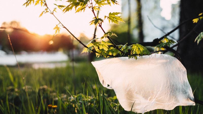 ప్లాస్టిక్ కు ప్రత్యామ్నాయం కనుగొన్న అమెరికా