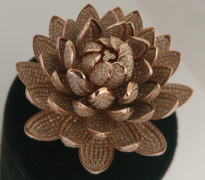 6,690 వజ్రాలతో గిన్నిస్ రికార్డు సృష్టించిన ఉంగరం