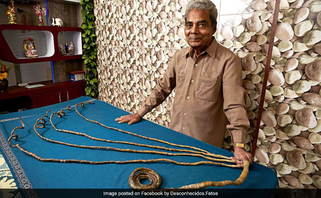 60 ఏళ్లుగా పెంపు… న్యూయార్క్ మ్యూజియంలో భద్రం