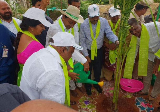 హరితహారానికి శ్రీకారం చుట్టిన సీఎం కేసీఆర్