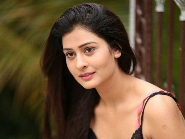 ప్రత్యేక పాటలో పాయల్!