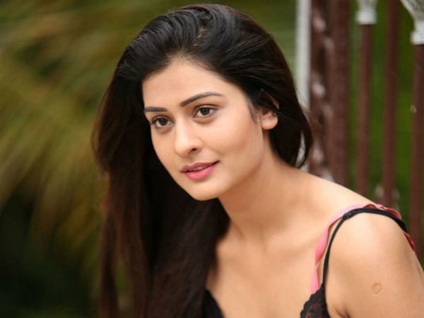 రవితేజ సరసన పాయల్ ?