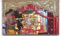 వాషింగ్టన్ డీసిలో ఘనంగా టిటిడి కళ్యాణం