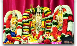 డాలస్ లో వైభవంగా జరిగిన శ్రీనివాస కళ్యాణం