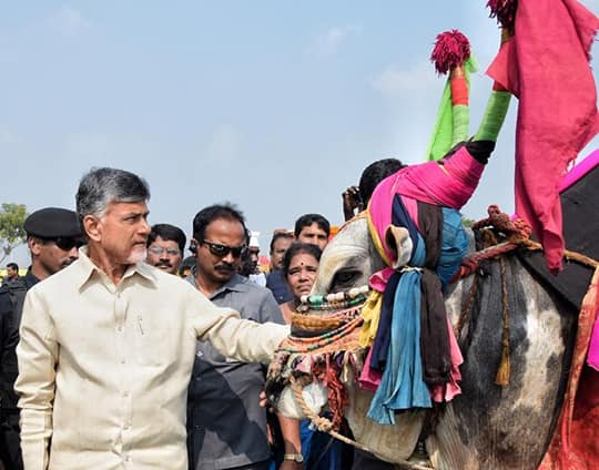 వరాల సంక్రాంతి – తెలుగు వారికి పండగ శుభాకాంక్షలు తెలిపిన చంద్రబాబు