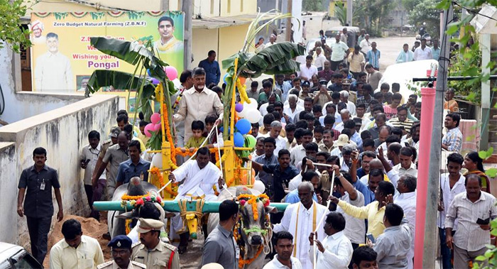 అర్హులకు పెన్షన్లు ఇస్తున్నాం: చంద్రబాబు