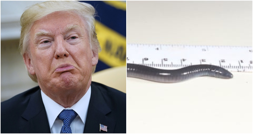 డొనాల్డ్ ట్రంప్ కు గౌరవం కాని గౌరవం!