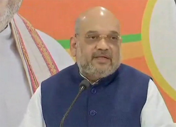 ఆడ్వాణీ స్థానంలో అమిత్ షా ?