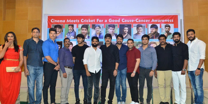 దక్షిణాఫ్రికాలో తెలుగు స్టార్స్ క్రికెట్