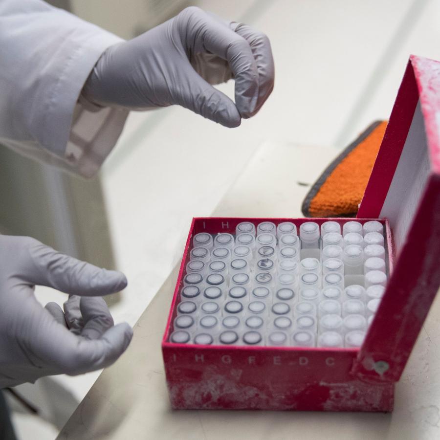 ఒకే రకమైన ఆహారంతో అనారోగ్యమే