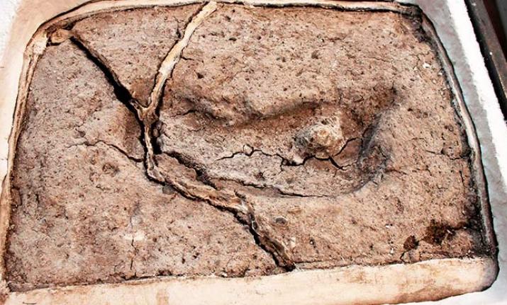 15వేల ఏళ్ల కిందటి మానవ పాదముద్ర