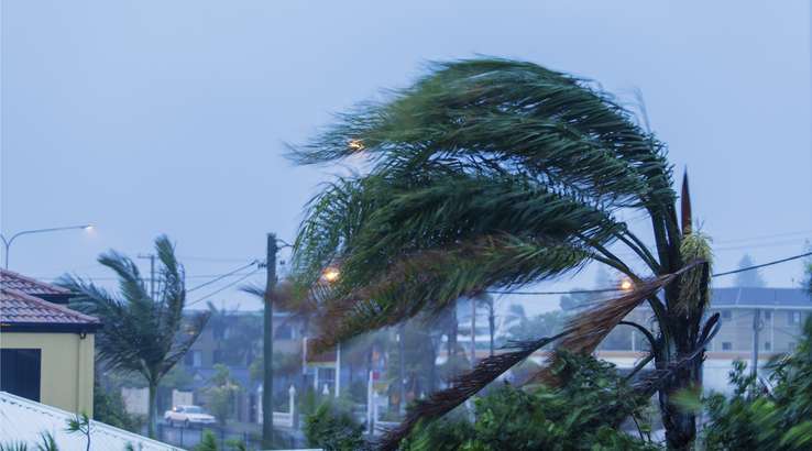 జోరుగా కురుస్తున్న వాన