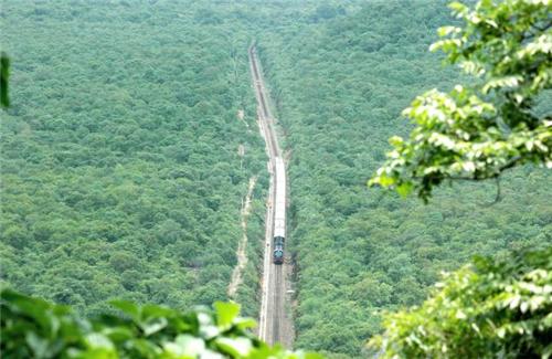 త్వరలో నంద్యాలకు అమెరికా శాస్త్రవేత్తలు