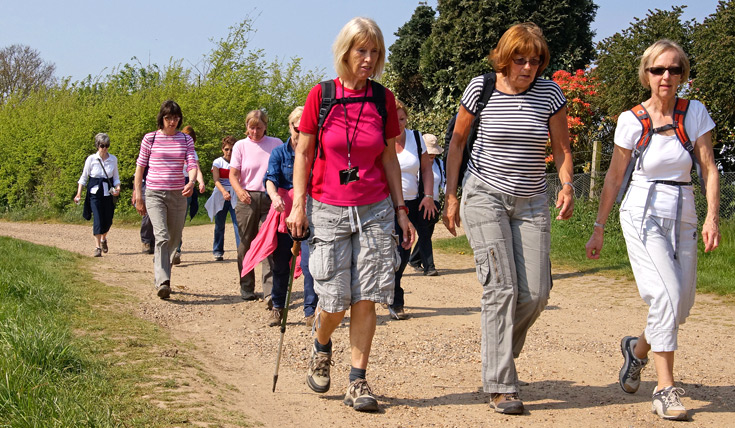 రోజూ 8900 అడుగులేస్తే మెదడు భద్రం!